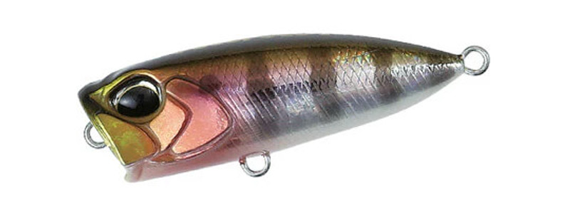 PRISM GILL