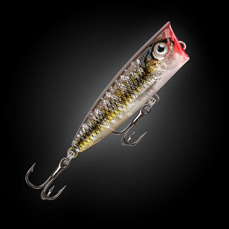 SPOTTED HERRING