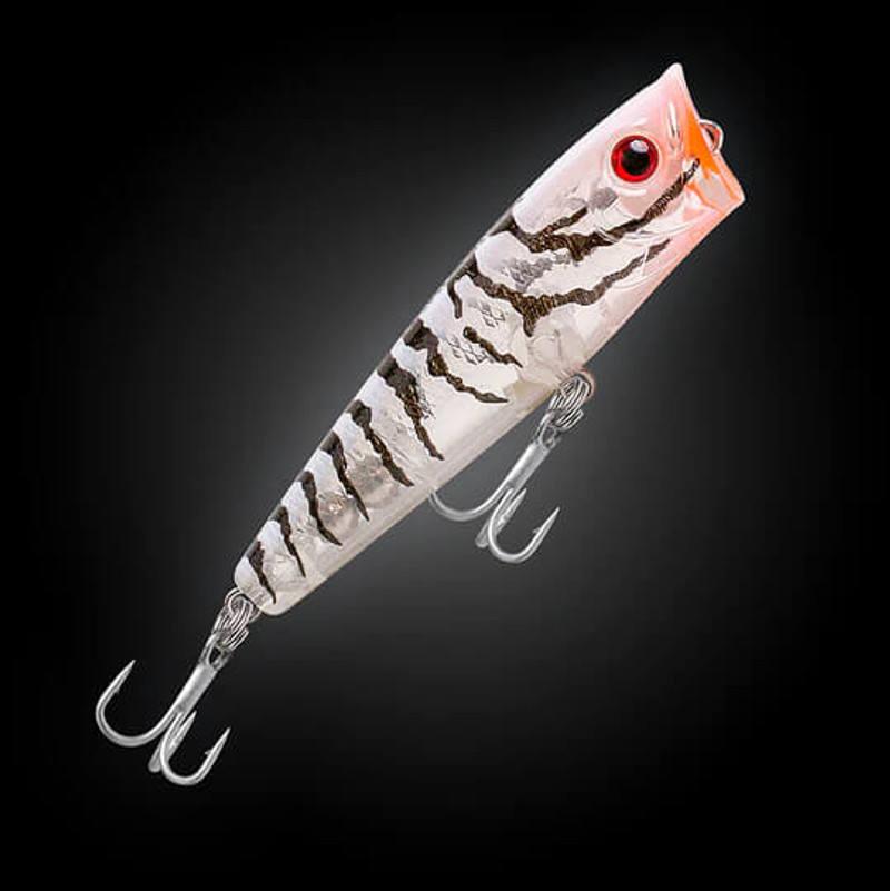CLEAR TIGER