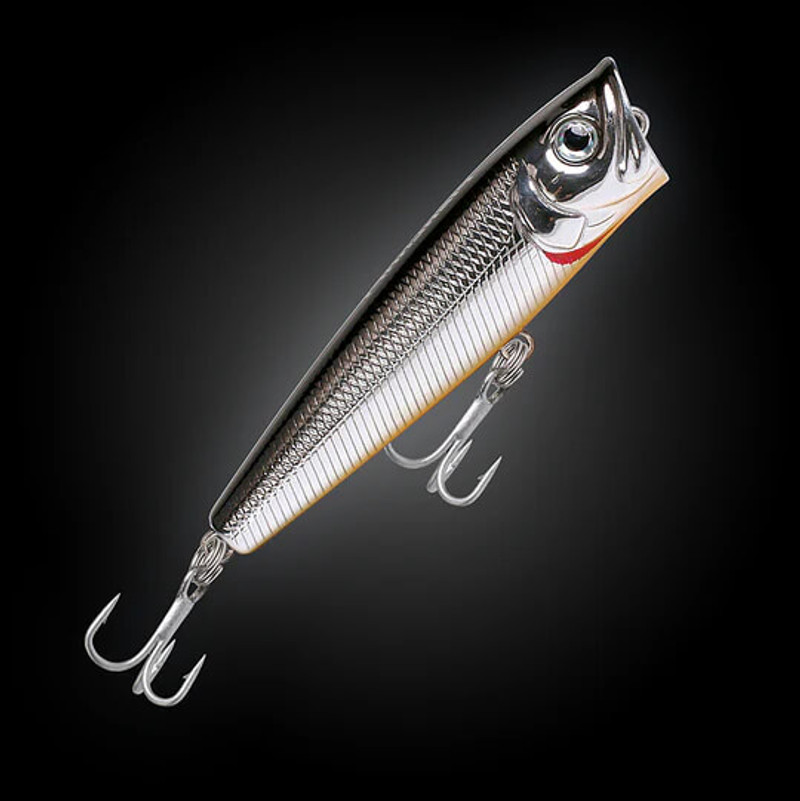 SILVER SHAD
