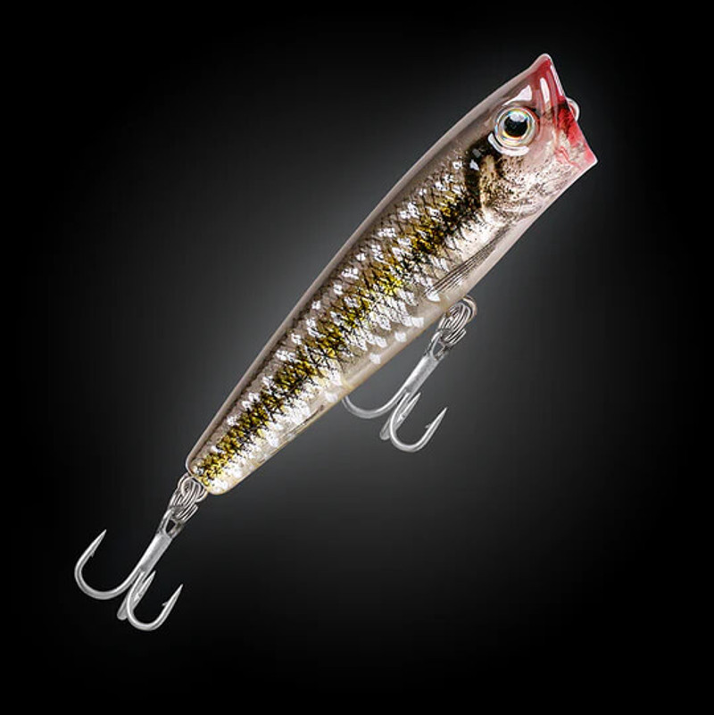 SPOTTED HERRING