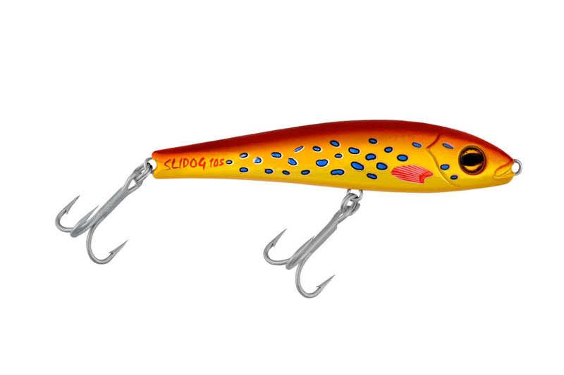 R9 CORAL TROUT