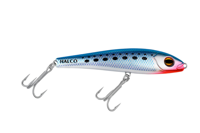 H50 PILCHARD