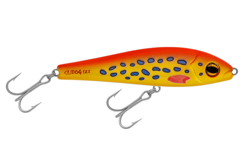 R9 CORAL TROUT