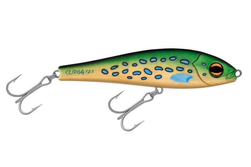 R14 TROUT ENVY