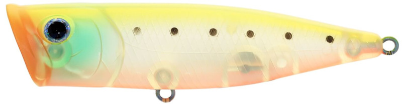 GHOST SARDINE