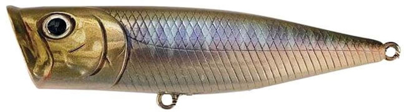 MISTY SHAD