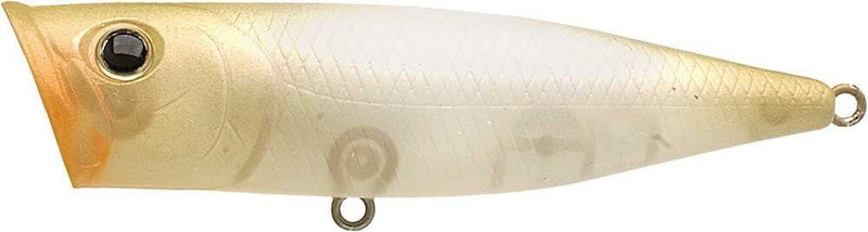 NC SHELL WHITE