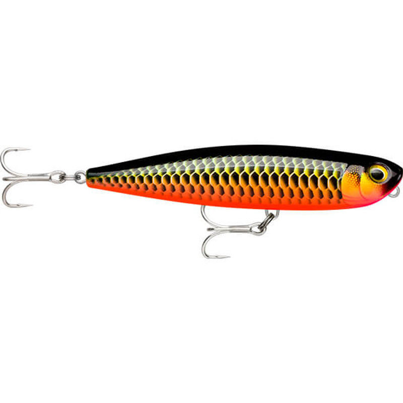 RED DRAGON AROWANA