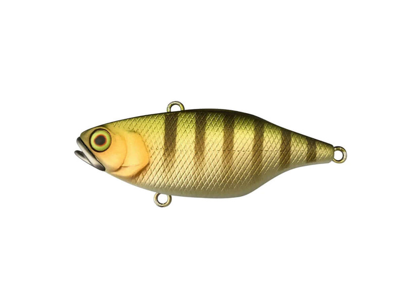 BROWN DOG GILL