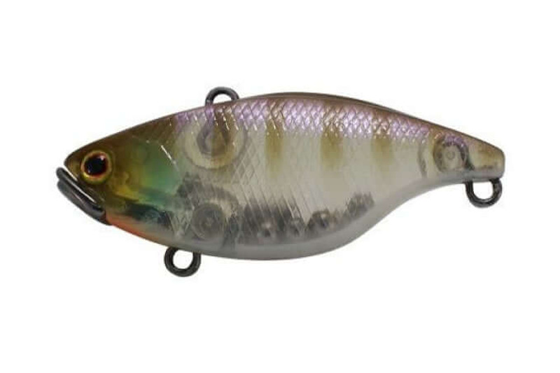 GHOST GILL