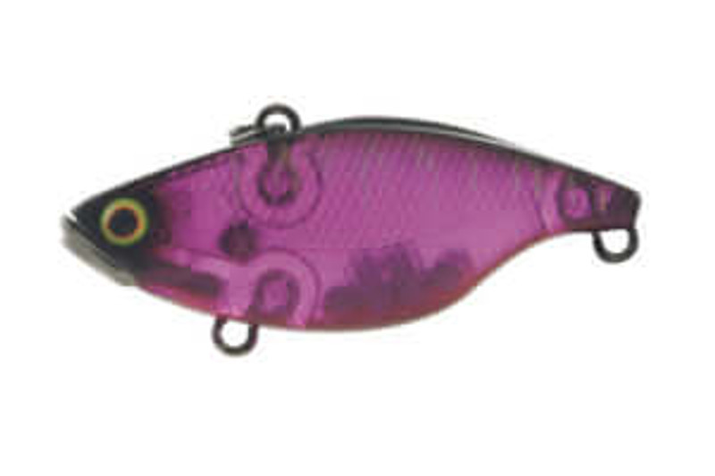 GHOST PURPLE TIGER