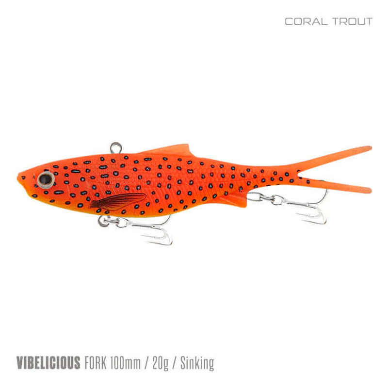 CORAL TROUT