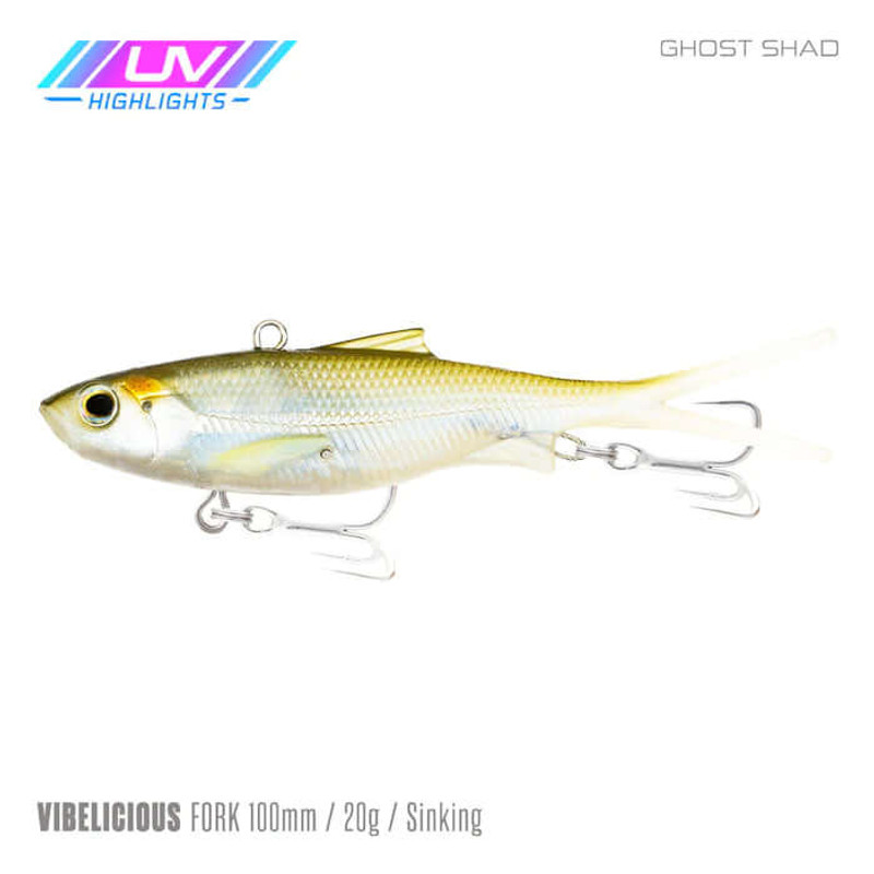 GHOST SHAD
