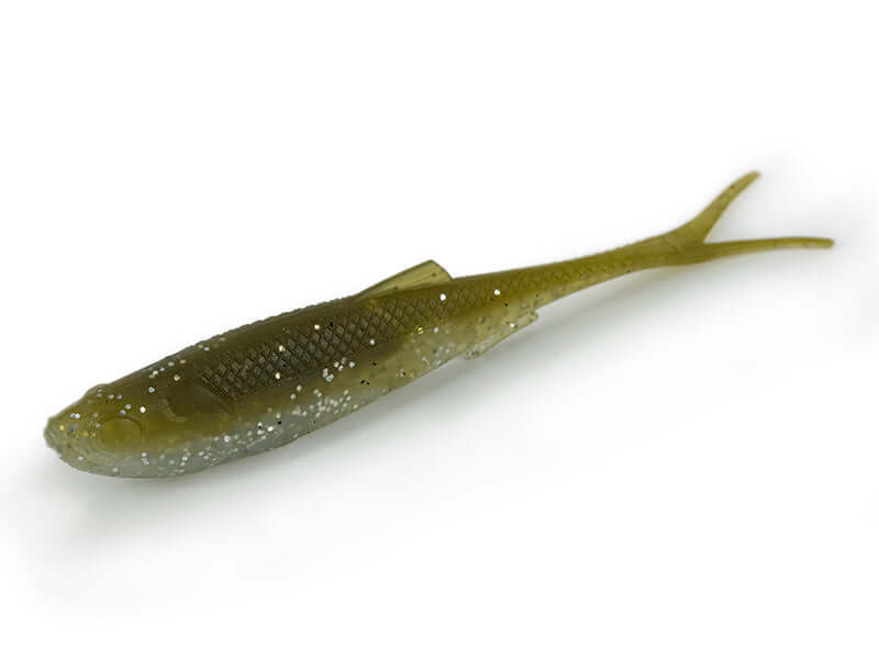 OLIVE SHAD