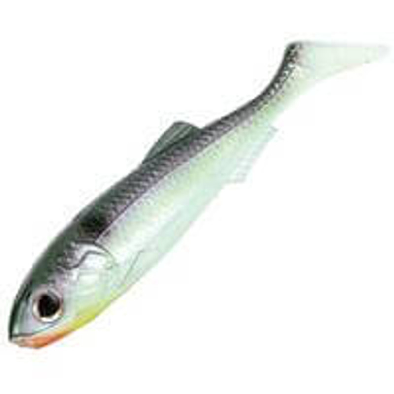 BLUE BACK HERRING