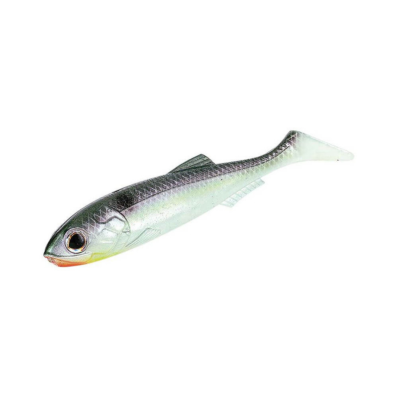 BLUE BACK HERRING