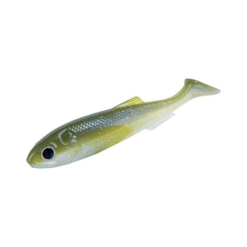 OLIVE SHAD