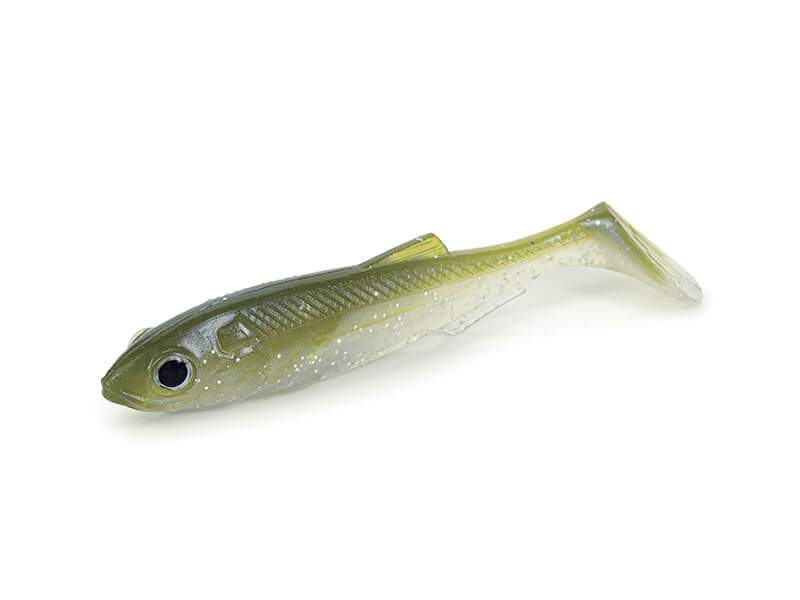 OLIVE SHAD