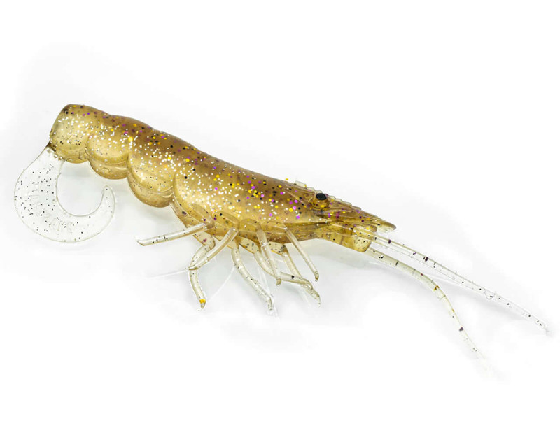 GOLD SHINER