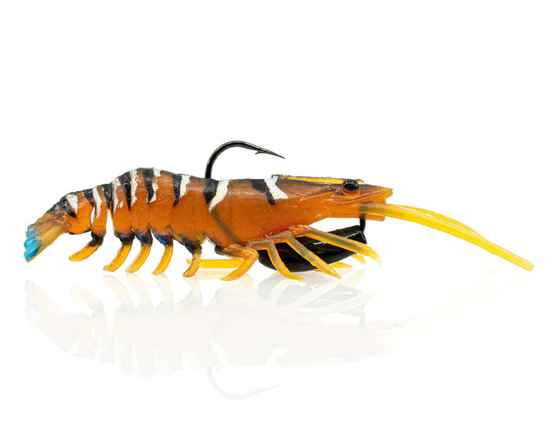 GREEN PRAWN