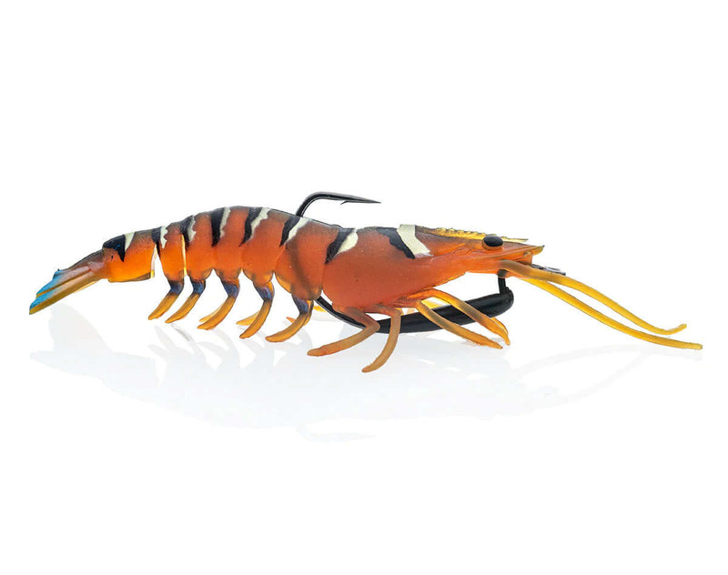 GREEN PRAWN