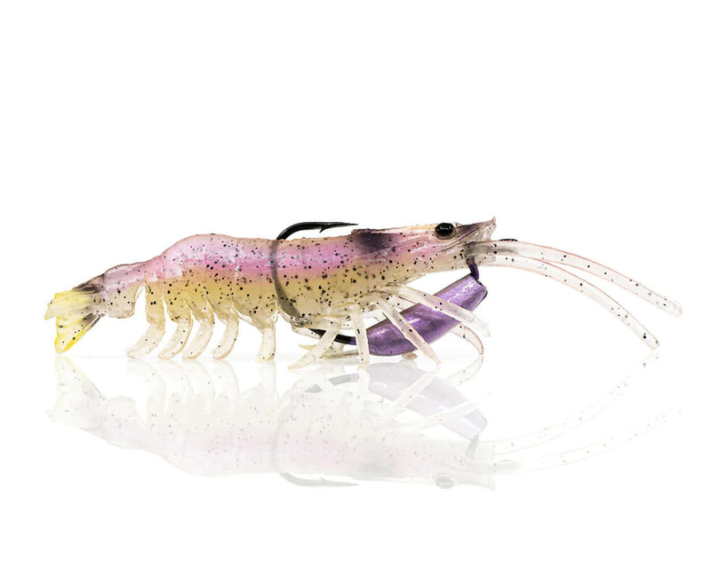 JELLY PRAWN