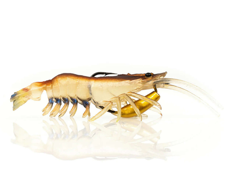 NATIVE PRAWN
