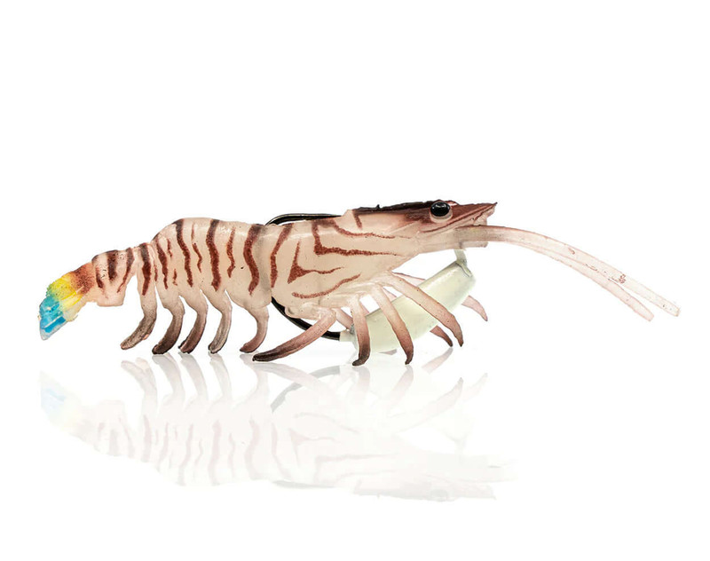 TIGER PRAWN