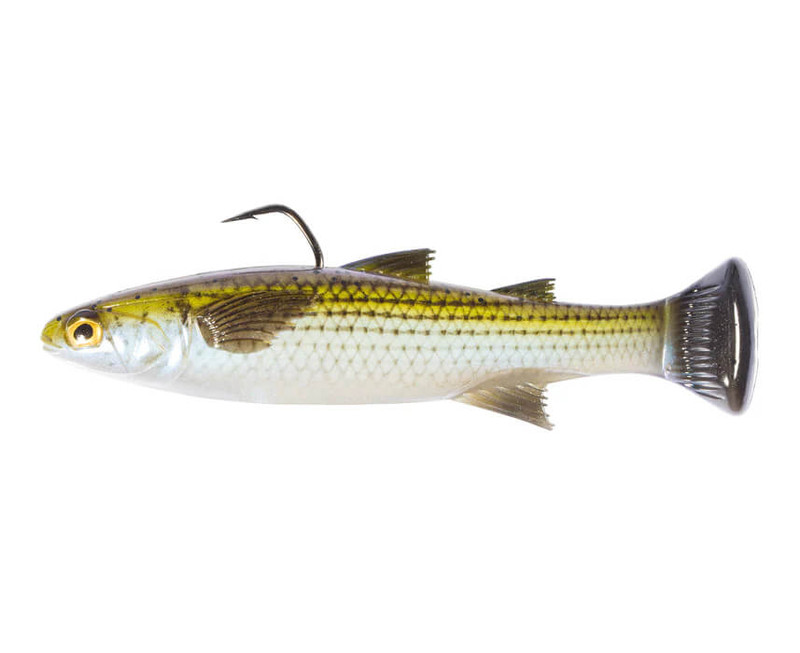 MOSSBACK