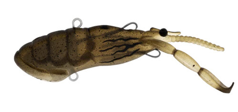 MUD SHRIMP