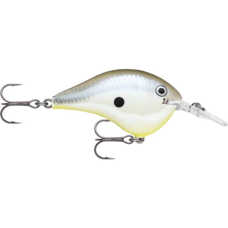 DISCO SHAD