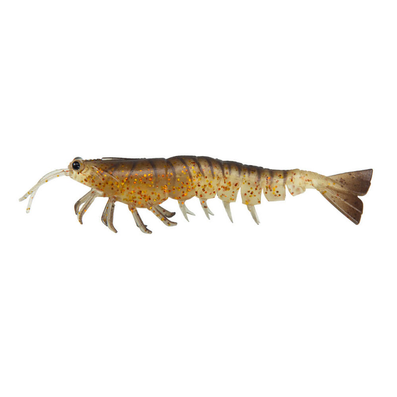 COCKROACH