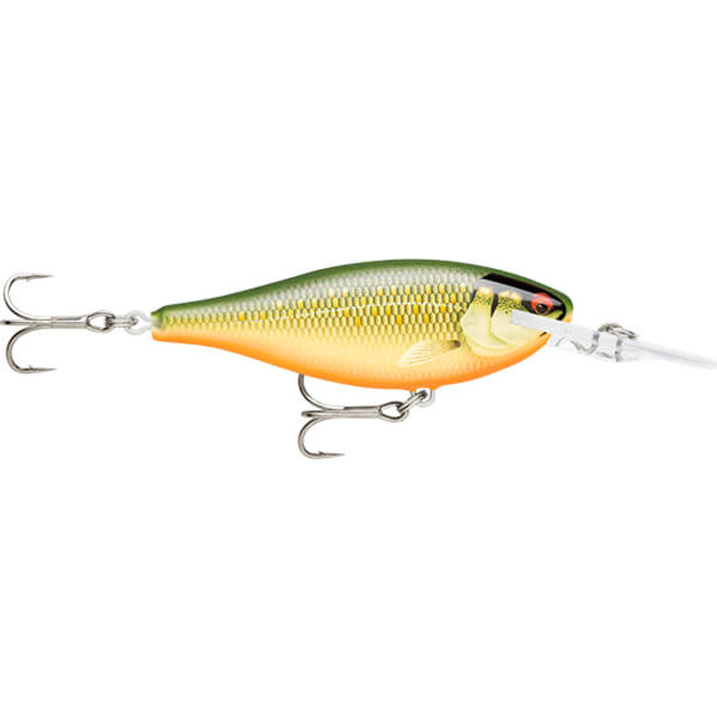 SCALED ROACH