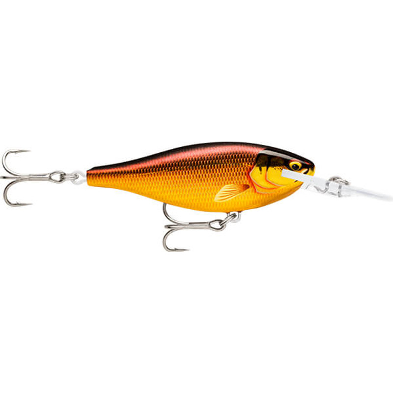 GOLDEN ALBURNUS