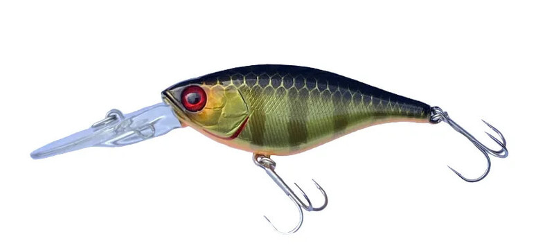 CHAMPAGNE GOLD GILL