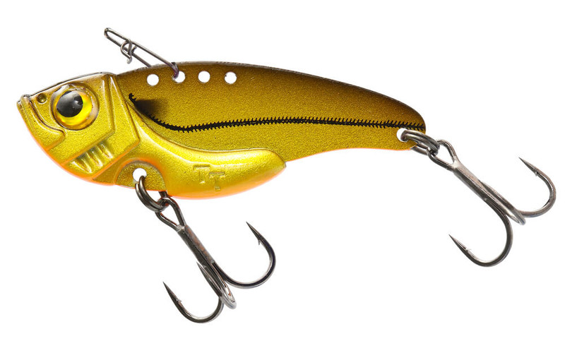 GOLDEN MINNOW