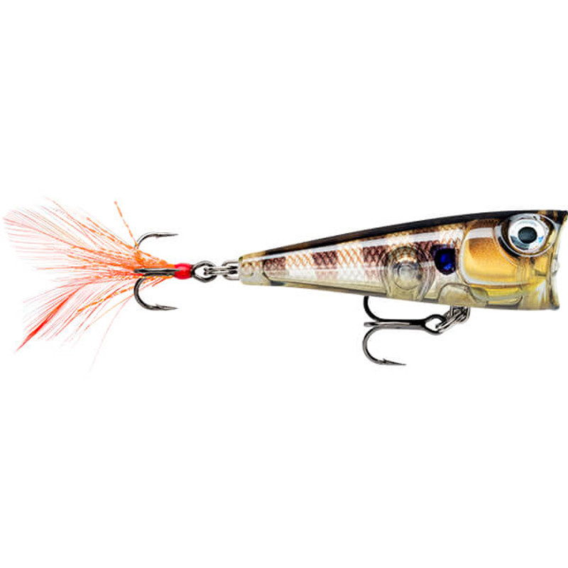 GLASSY GILL