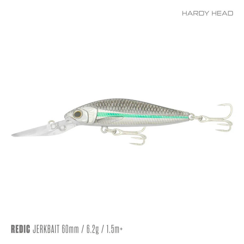 HARDY HEAD