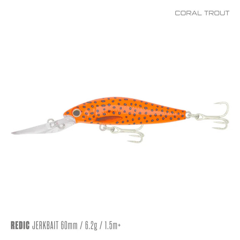 CORAL TROUT
