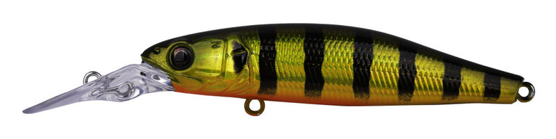 GOLDEN PERCH