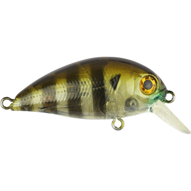 GHOST GILL BROWN