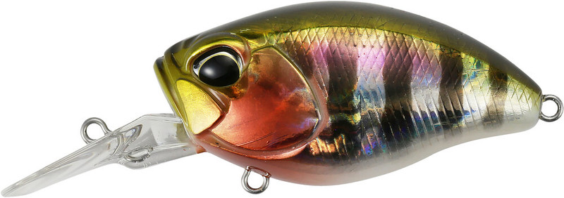 PRISM GILL