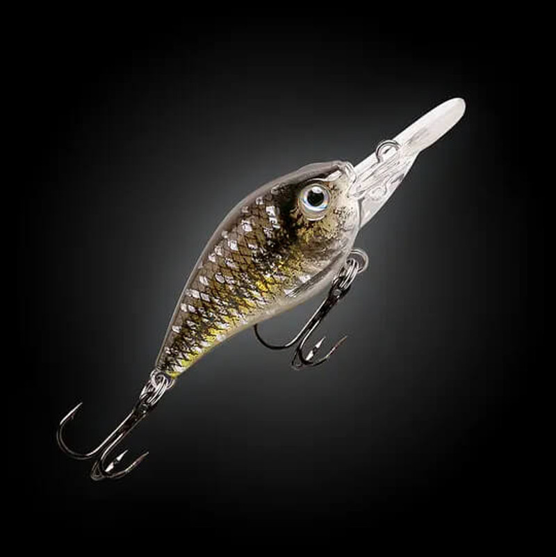 SPOTTED HERRING
