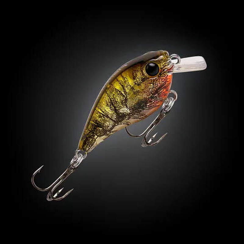 RUNNING PRAWN