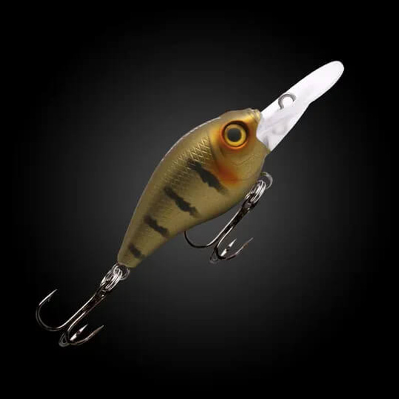 GOLDEN GUDGEON
