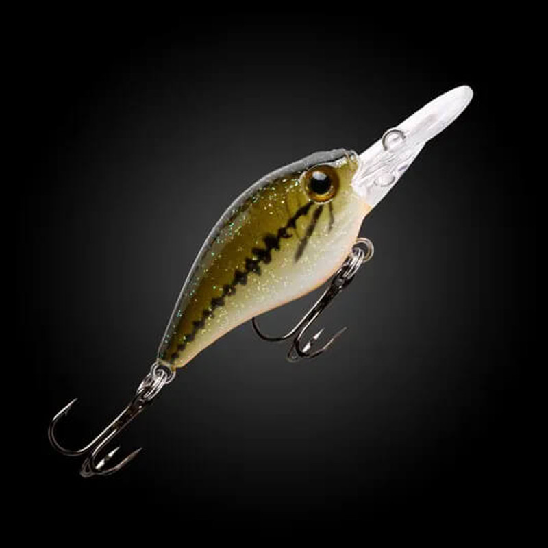 BABY BASS