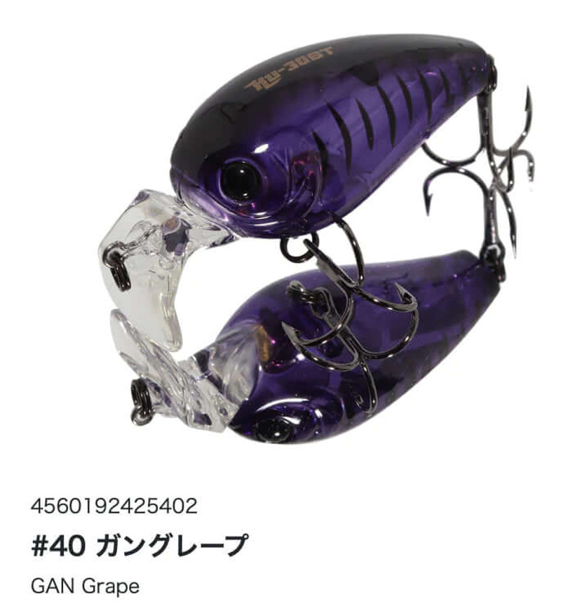GAN GRAPE