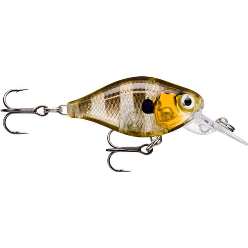 GLASSY GILL