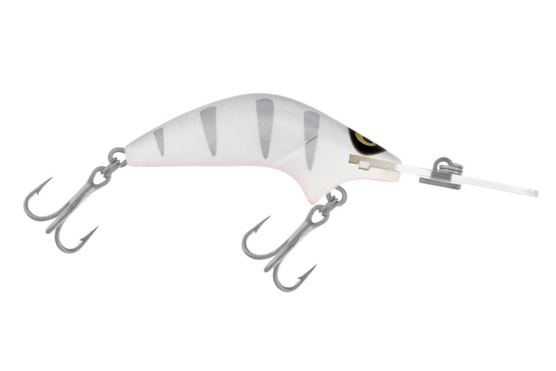 SILVER SHADOW